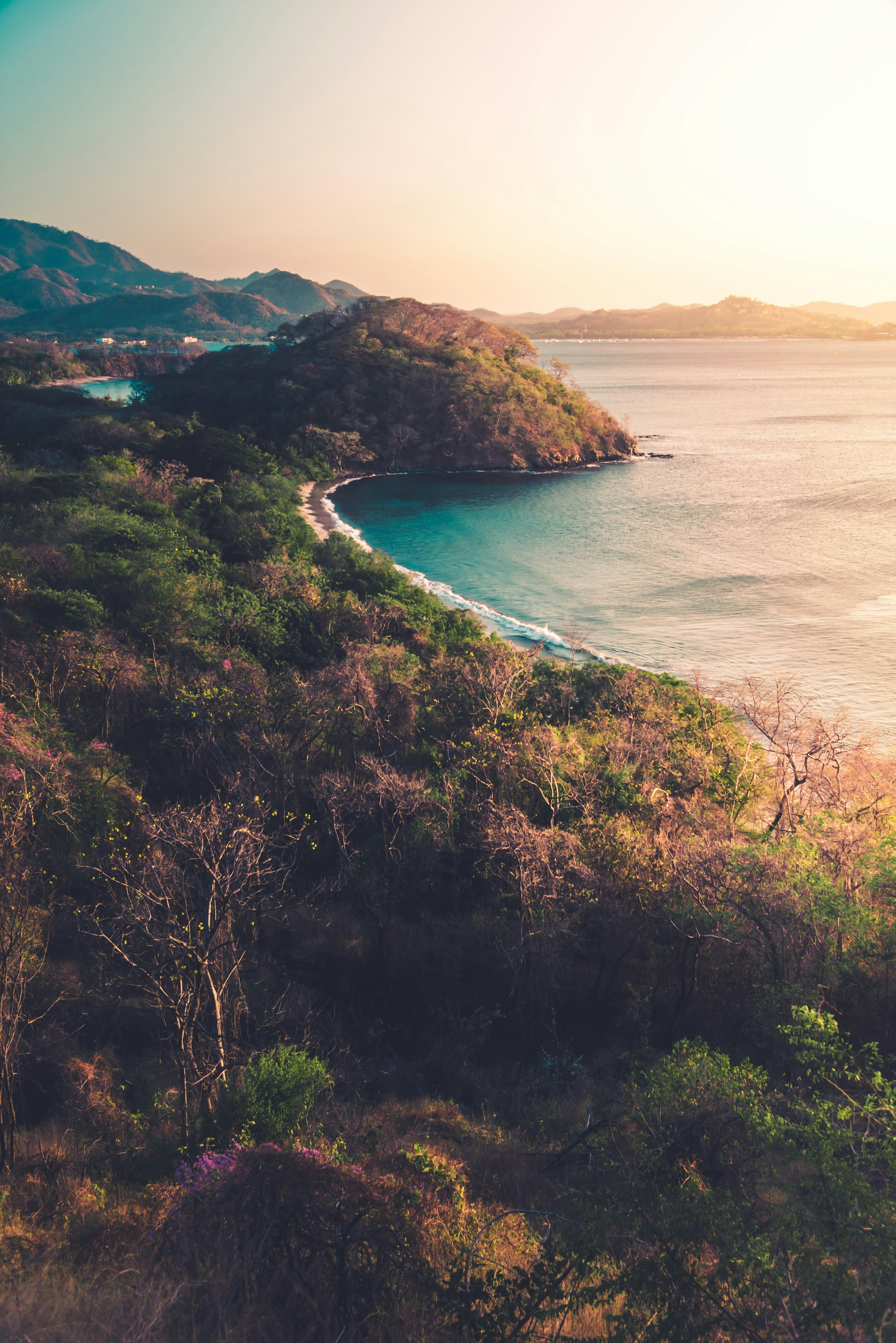 Medical cannabis now available in Costa Rica